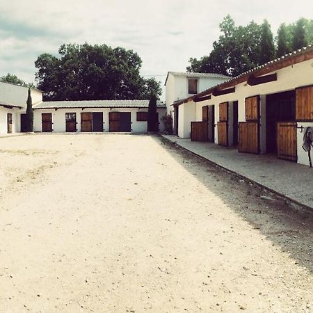 Maison Au Milieu Des Chevaux LʼIsle-sur-la-Sorgue Esterno foto