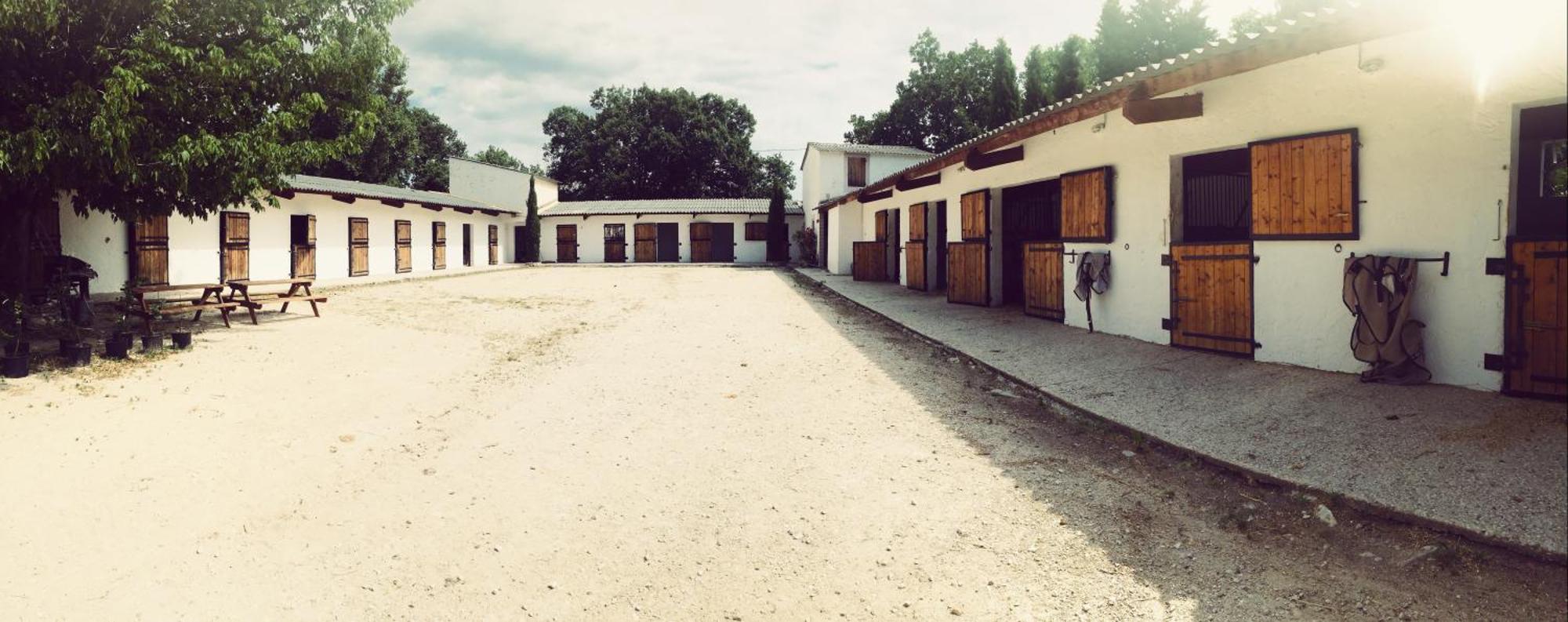 Maison Au Milieu Des Chevaux LʼIsle-sur-la-Sorgue Esterno foto